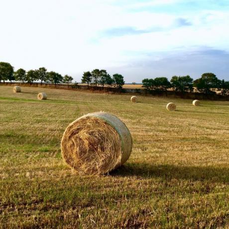 B&B con enormi distese verdi nella Valle d'Itria
