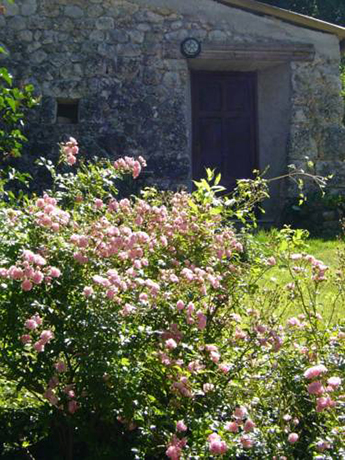Appartamenti con Cucina e Giardino nel Lazio