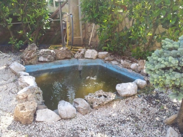 Laghetto B&B vicino Roma