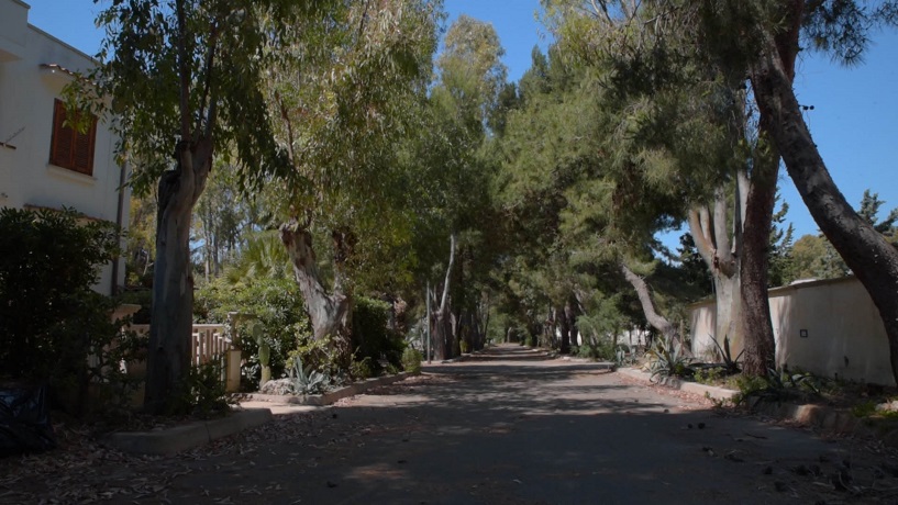 Viale alberato residence vicino Gallipoli nel Salento
