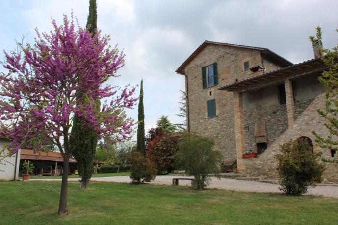 Agriturismo con Fattoria con Piscina a Coltavolino 