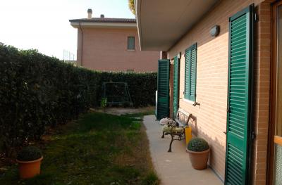 Giardino con siepe di alloro