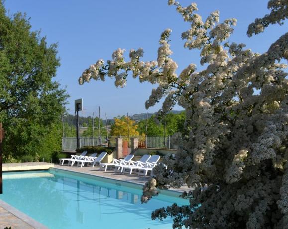 Agriturismo in campagna Umbra panoramico