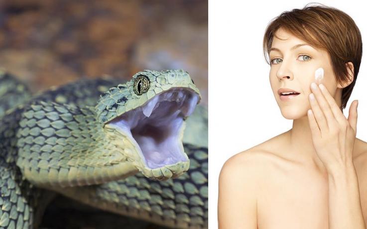 Crema al VELENO di VIPERA: Imperya