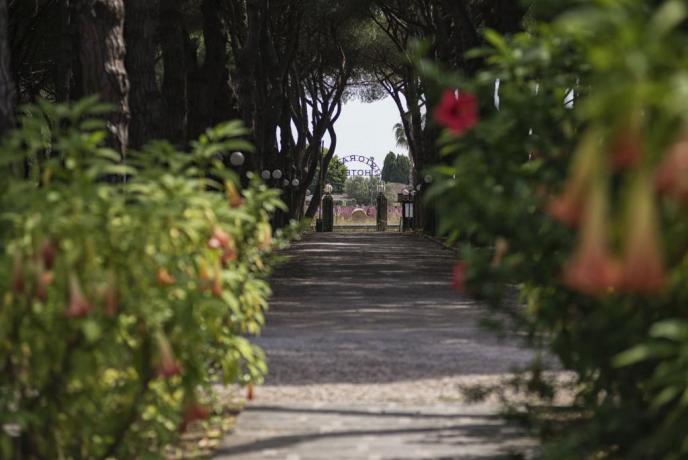 Viale privato per arrivare in spiaggia