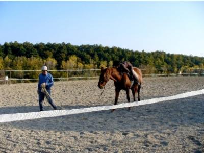 Passeggiate a cavallo  