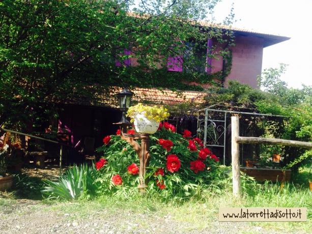 Casa di Campagna immersa nel verde con appartamenti