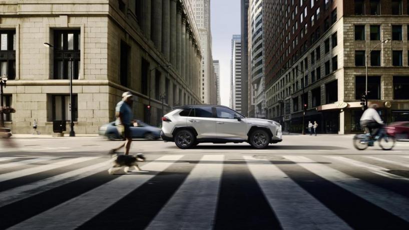 noleggio lungo termine suv cambio automatico
