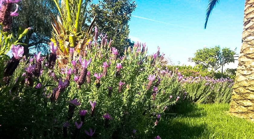 Natura incontaminata nelle campagne Pugliesi