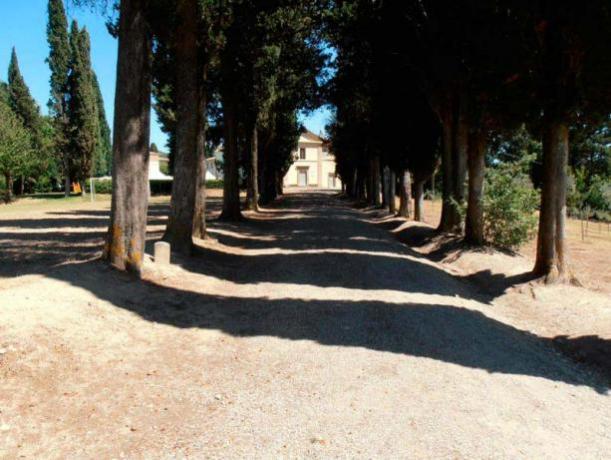 Albergo in Villa Storica con Piscina Città di Castello - Tenuta la Dea