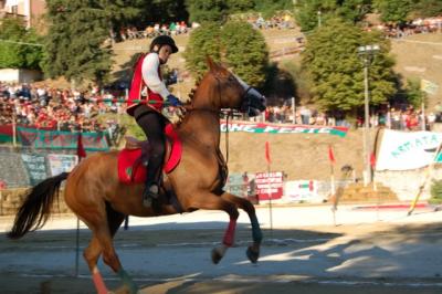 Dove soggiornare per il Palio dei Quartieri