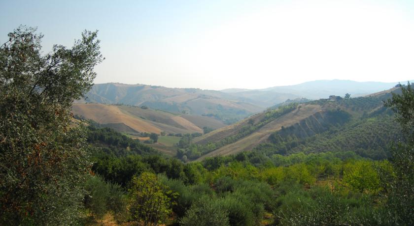 B&B immerso nella natura