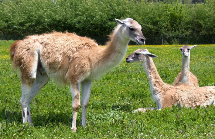Hotel vicino Parco con Animali in Umbria