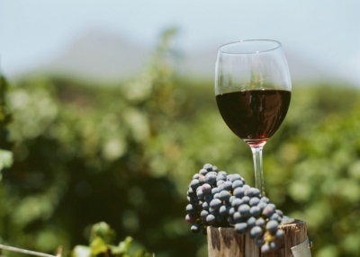 Vini nel Mondo a Spoleto in Umbria