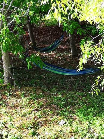 Amache in giardino: verde dell'Umbria