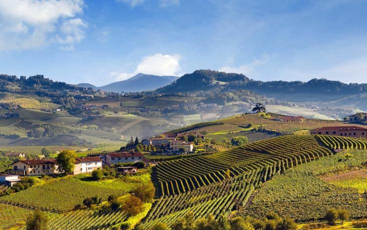 Hotel ideale per escursioni Langhe e Monferrato