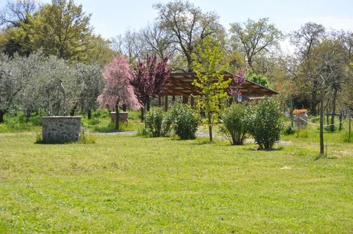 Giardino Esterno - Casale con 12 Appartamenti indipendenti