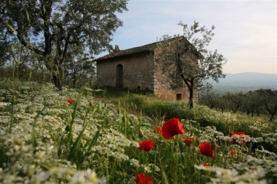 Ultima casetta con degustazioni Umbria 