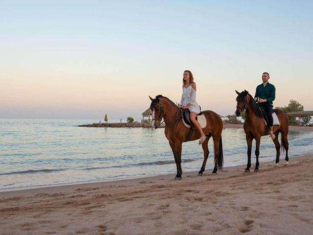 Offerta Fruit Village Hurghada All Inclusive  