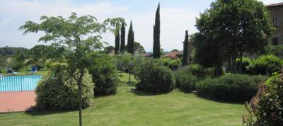 Piscina nel giardino