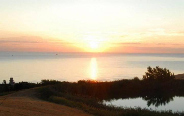 Hotel*** a Silvi, area Torre del Cerrano, snorkeling