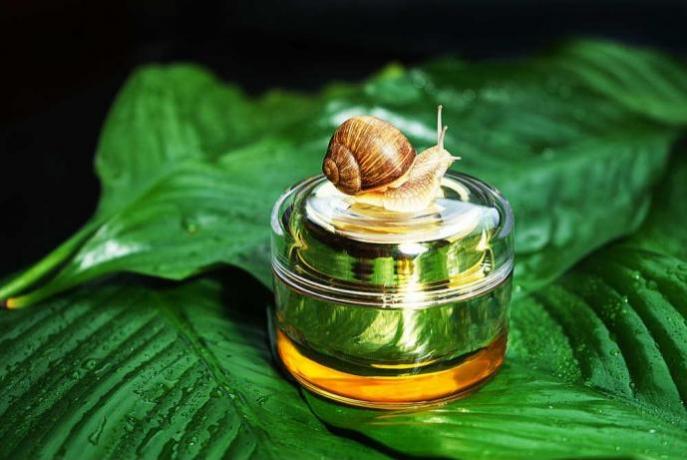 IMPERYA: prodotti anti-age BAVA-LUMACA