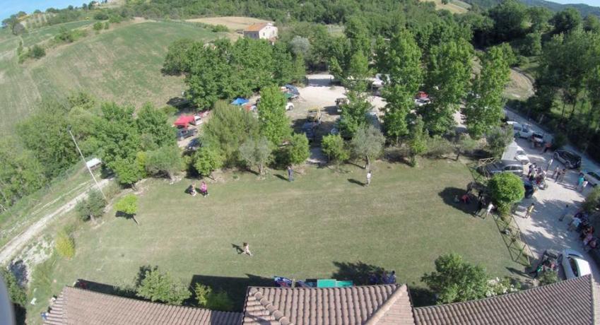 agricola palermi cane da caccia