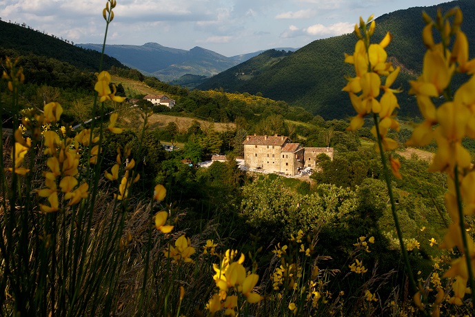 Tenuta in Umbria con Appartamenti Ristorante e Piscina