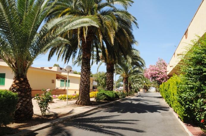 Appartamenti in affitto a Scalea