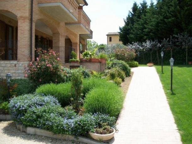 Appartamento a Montefalco con ampio Giardino 