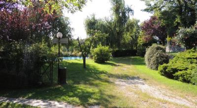 Piscina Esterna circondata dal verde