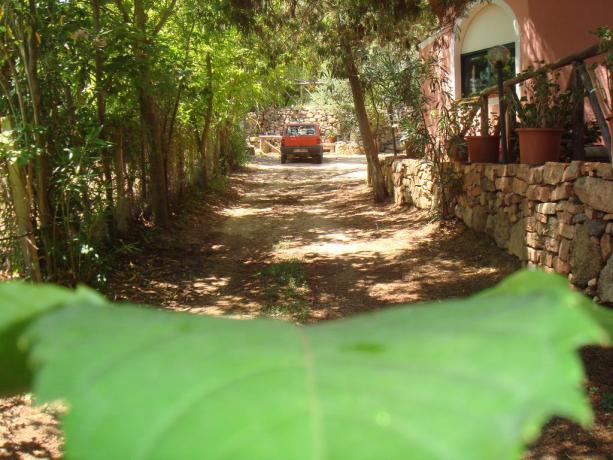 Agriturismo nel verde Sardo vicino Tortolì