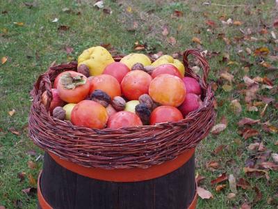 Frutta di stagione e verdura