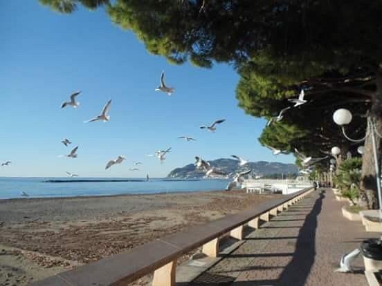 Hotel-fronte-mare-Imperia-San-Bartolomeo a mare 