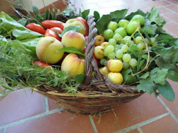 Cesto frutta e verdura B&B Todi