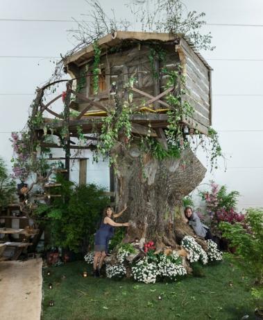 treehouse chalet mountain case sull albero antico