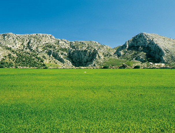Fare escursioni al Parco Nazionale del Gargano