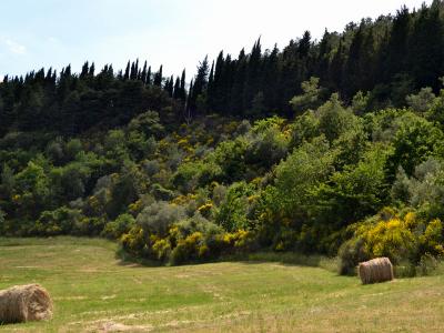 Agriturismo a Città di Castello, il Bosco 