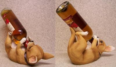 chihuahua da esposizione