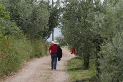 Passeggiate con degustazioni in Umbria 