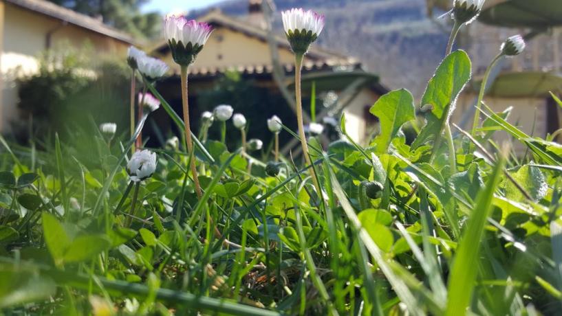 Agriturismo con giardino a Ferentillo vicino Terni 