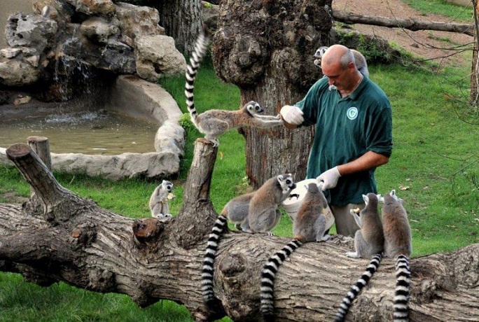 Hotel comodo per visitare Bioparco di Roma