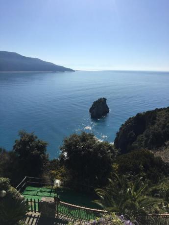 Ristorante ideale per coppie in Hotel a Centola