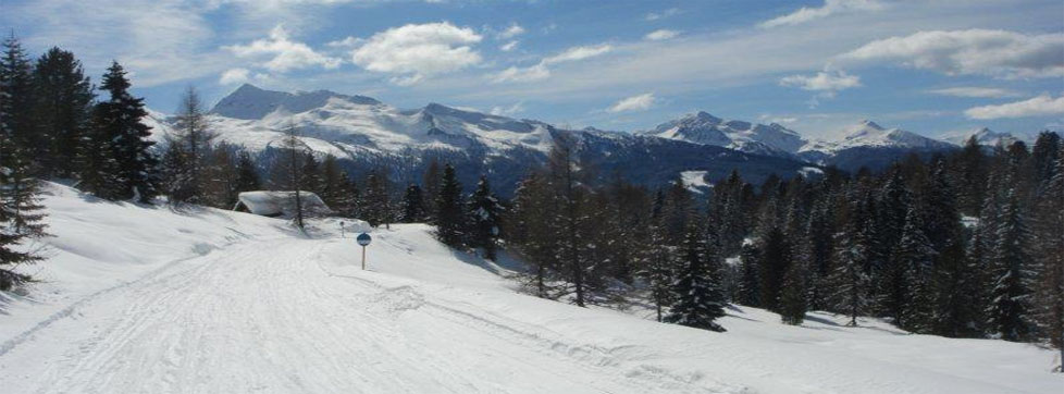Pista da fondo, Trento