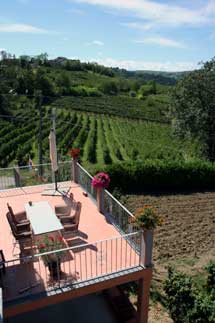 Terrazza privata, B&B a Pavia