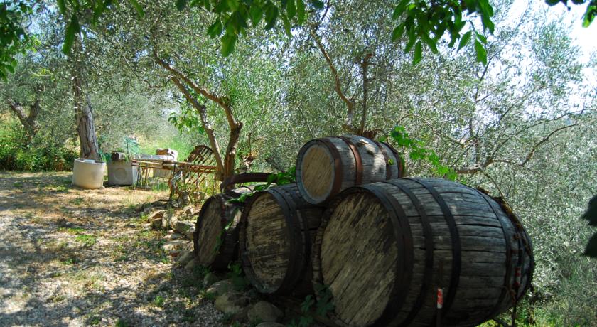 Ampio giardino recintato