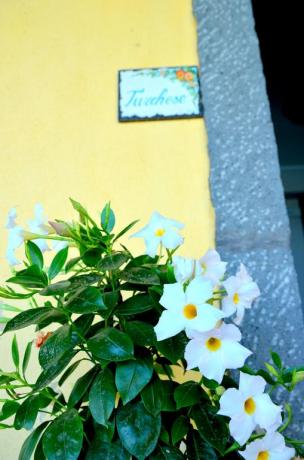 Ingresso Camera Turchese B&B Santa Venerina