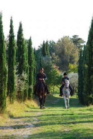 Possibilità di passeggiate a cavallo, villa vacanza trevi