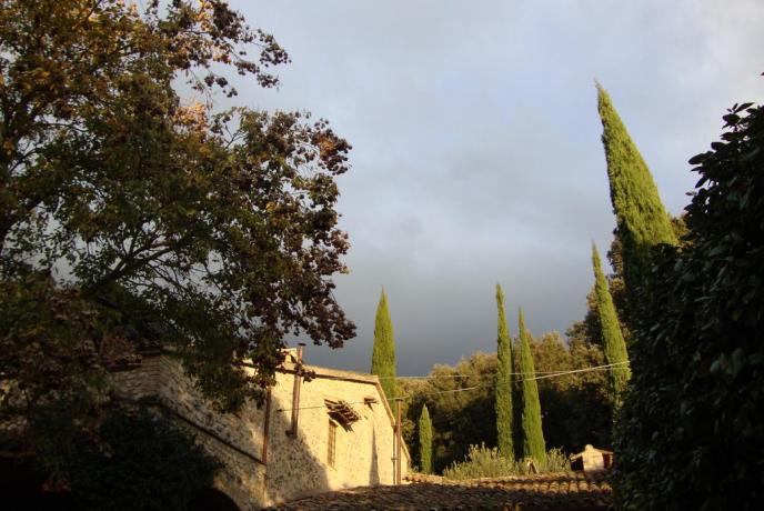 B&B vicino Acquasparta con giardino