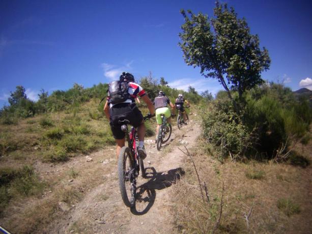 Escursioni guidate in mountain-bike e-mtb nella Valtaro